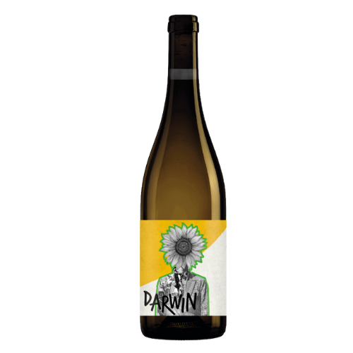 DARWIN - Cabernet Blanc